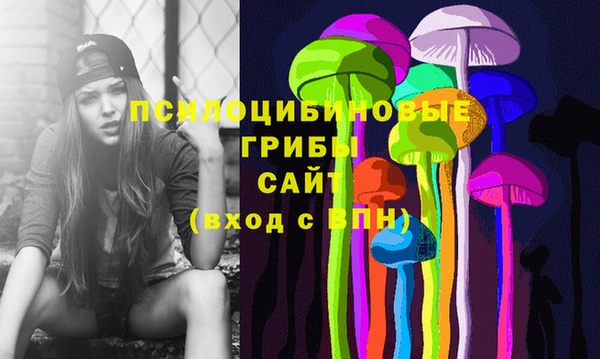 ECSTASY Осинники