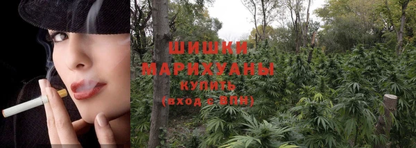 ECSTASY Осинники