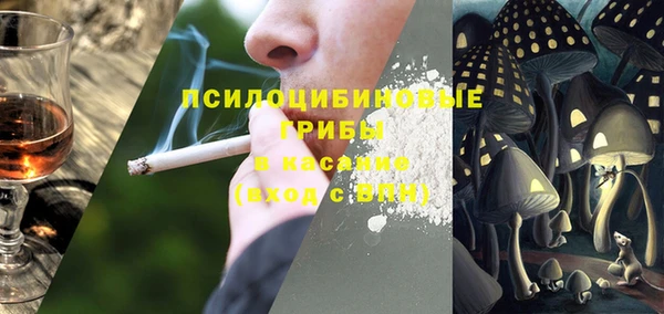 тгк Осташков
