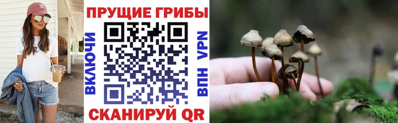 Галлюциногенные грибы прущие грибы  Купить где  Барнаул 